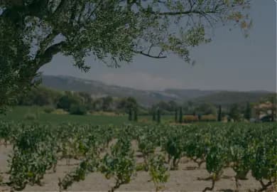 Terrains Et Fermes